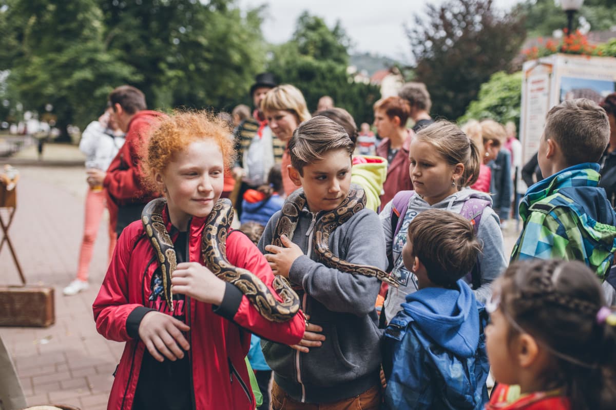 2018 — fotografie 36
