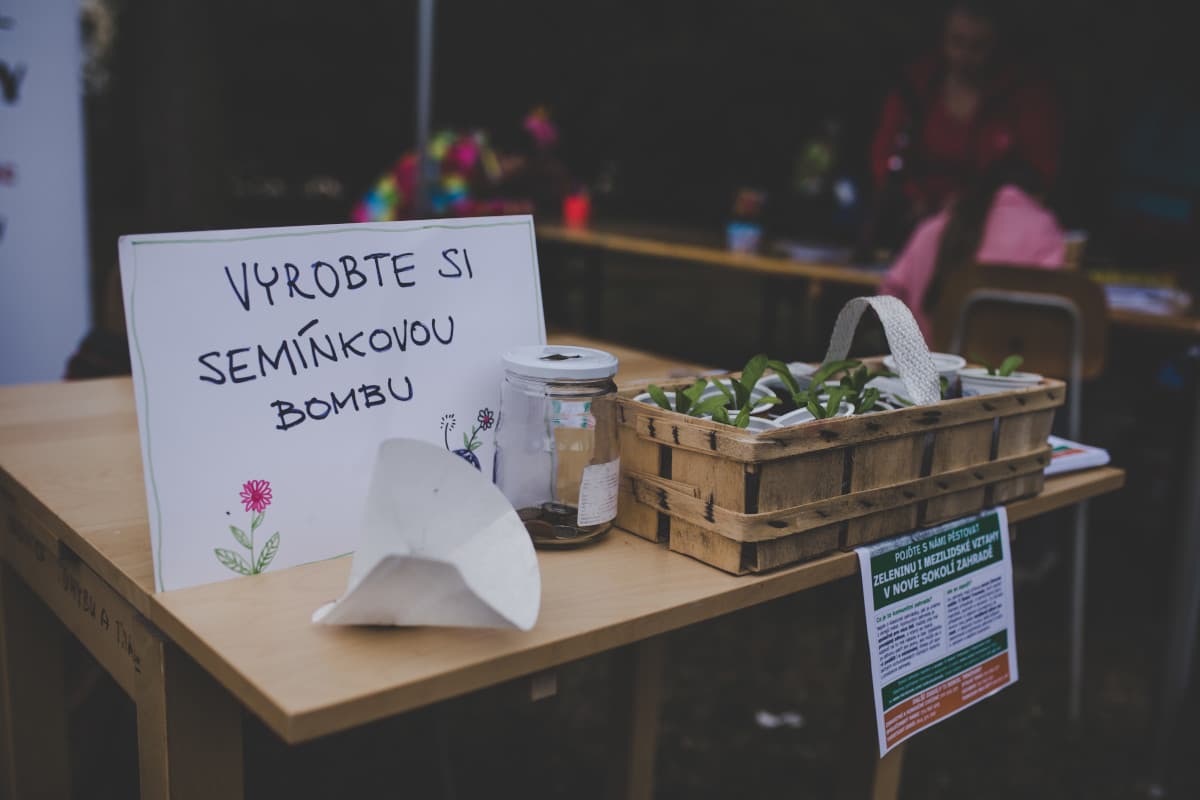 2018 — fotografie 80