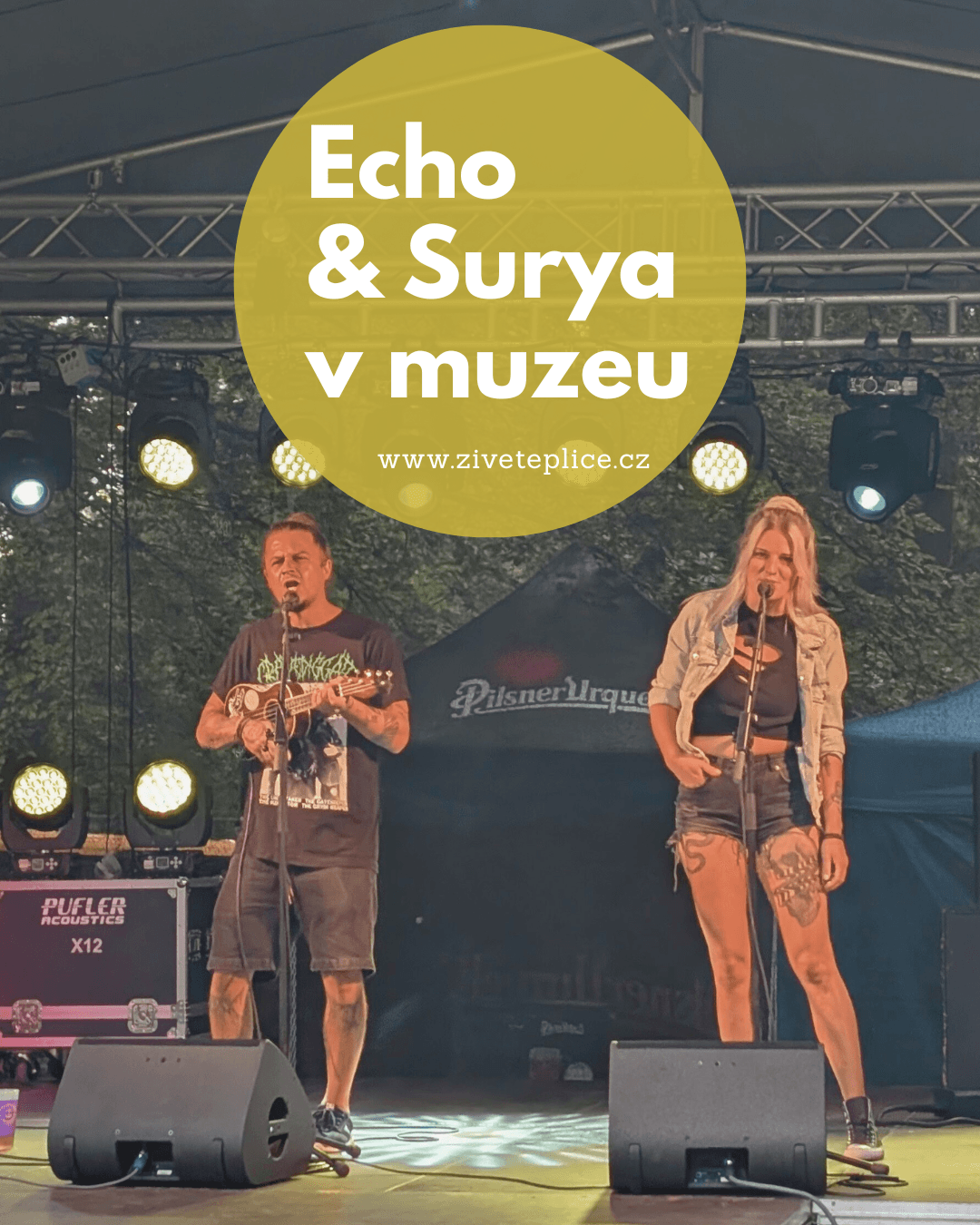 Koncerty v Malovaném sálu